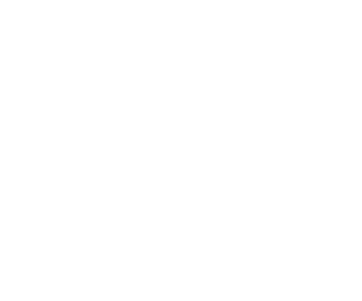 valimo1 V1 logo white